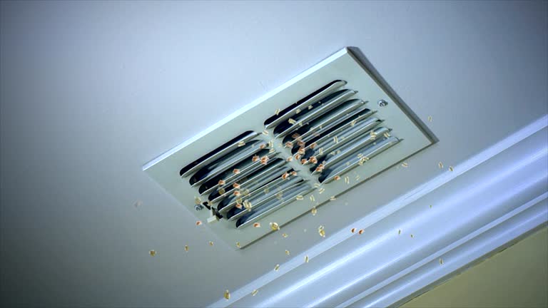 Best Duct Cleaning for Homes  in Elmo, TX