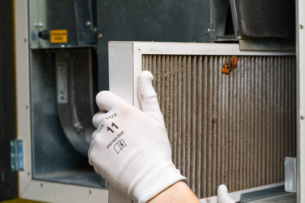 Best HVAC System Cleaning  in Elmo, TX