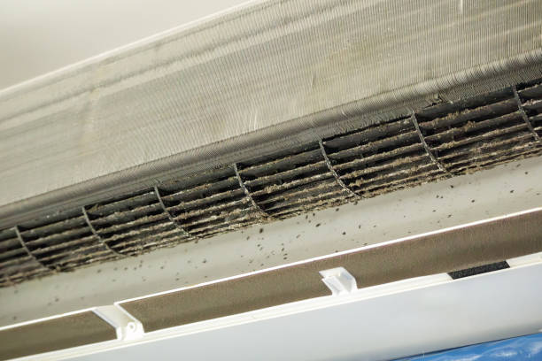 Best Air Duct Cleaning Near Me in Elmo, TX
